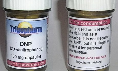 DNP, sold online as a fat-burning diet pill, has been attributed to more than 60 deaths