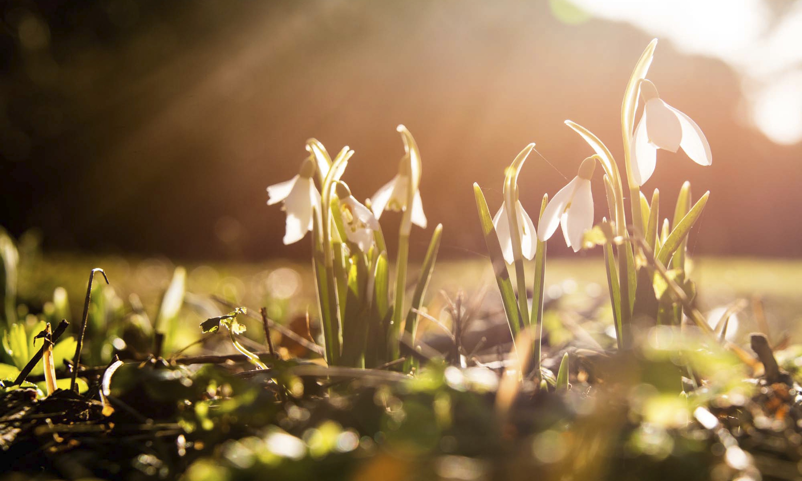 Funny Pictures July 10, 2017