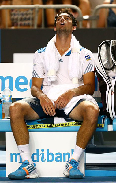 Open heatwave: Open heatwave