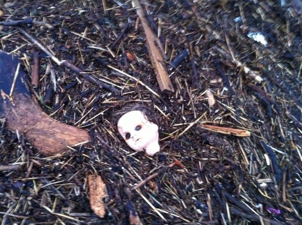 'Creepiest ever flotsam,' asks folderdave, of this post-storm discovery on South Beach, Troon, South Ayrshire