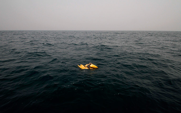 Week in Wildlife: A pair of olive ridley turtle mate at the Bay of Bengal Sea 