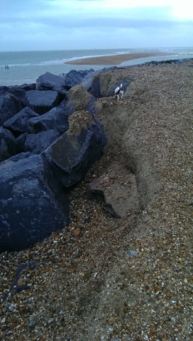 Hayling Island. Hampshire. 'Shingle washed off and relocated to expensive shingle bank now three times the previous sandbank height.'