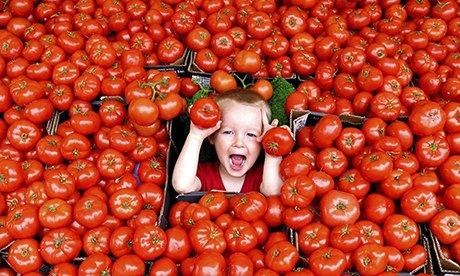 tomatoes veganism sustainable eating