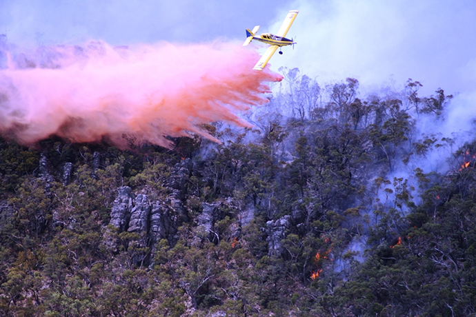 Grampian bushfire: Grampian bushfire