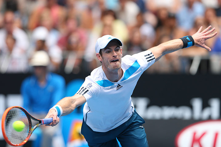 aussie open day 6: Andy Murray
