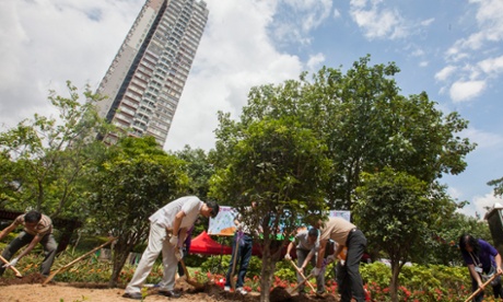 Hong Kong government officials plant trees as part of their aim to foster social cohesion in the city's community.