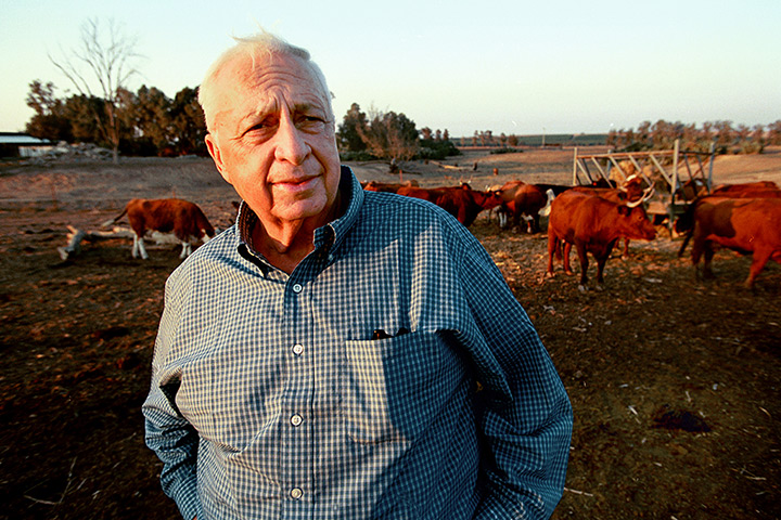 Ariel Sharon in pictures: Israel, 2001: Prime Minister Ariel Sharon on his Shikmim Farm