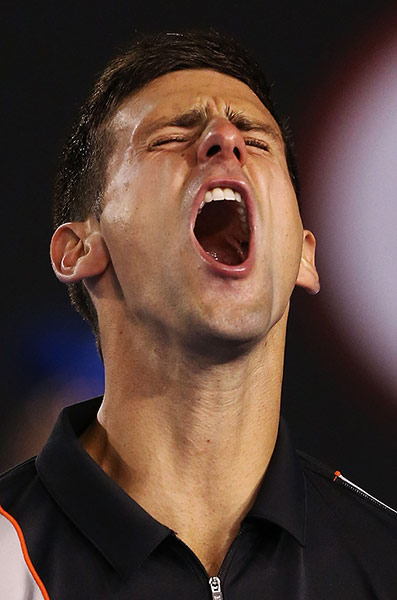 aussie open day 9: Novak Djokovic celebrates