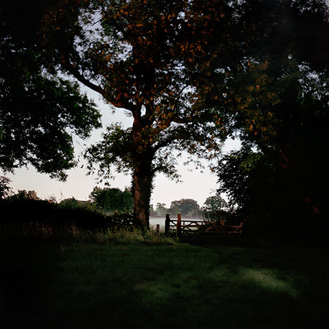 Darren Almond: Fullmoon@Sandwalk Wood, 2013 