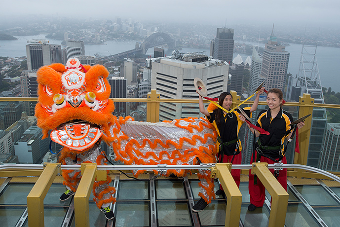 Chinese dragon gallery: Chinese dragon gallery