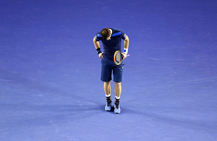 Murray v Federer: Andy Murray