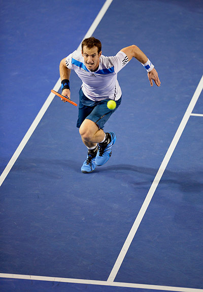 Murray v Federer: Andy Murray