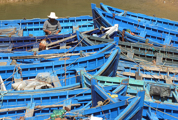 Your Pictures - Zigzag: fisherman inside a range of blue boats