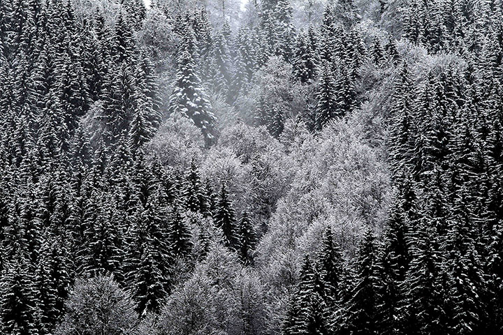 Week in Wildlife: Fresh snow on higher elevations in Bavaria