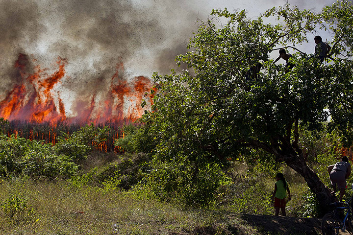 20 Photos: Villagers observe the sugarcane fields in Chichigalpa, Nicaragua