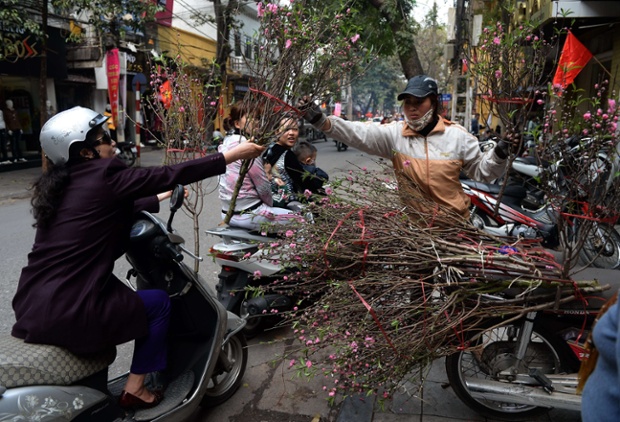 A farmer sells a peach blossom in Hanoi as Vietnamese prepare to celebrate Tet holiday or the Lunar New Year