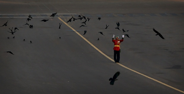 Crows fly past as an Indian army band conductor  during a rehearsal of the Beating Retreat ceremony in New Delhi, India marking the end of Republic Day festivities.