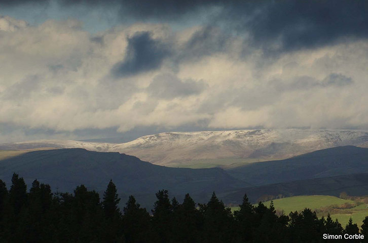 Winter Green Shoots: on Flickr