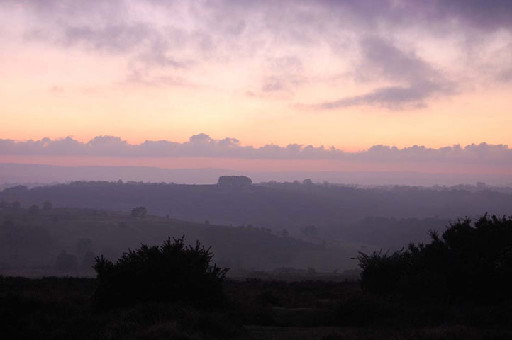 Winter Green Shoots: on Flickr