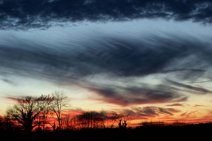 Winter Green Shoots: on Flickr