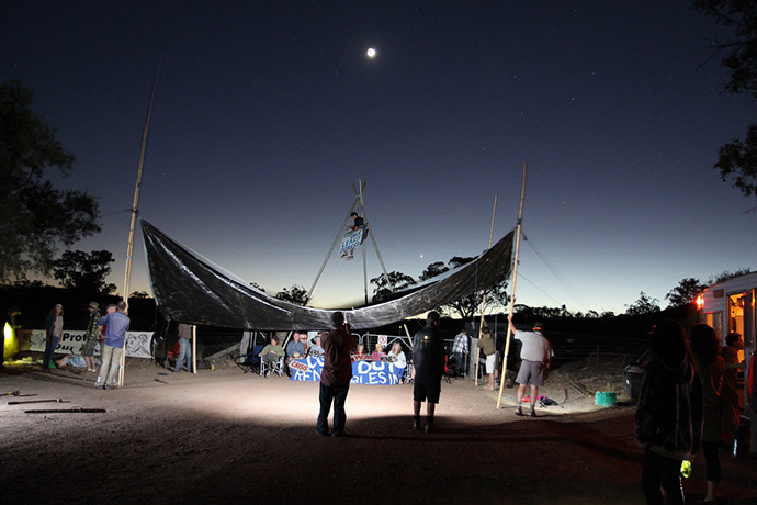 forest: Protest camp under moonlight