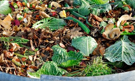 Organic matter ready for composting