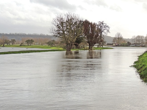 Flooded fields near Steathe in the Somerset Levels