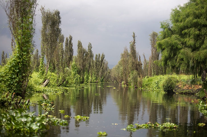 Week in wildlife: canal in Xochimilco Lake in Mexico City
