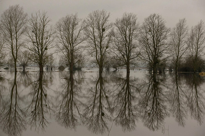 20 Photos: Flooding Continues To Affect People's Lives On The Somerset Levels