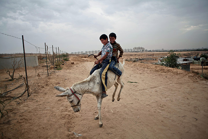 20 Photos: Palestinian Bedouin children enjoy a donkey ride around the Gaza Strip