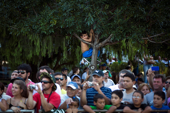 Weekend in pictures: A boy climbs a tree to get a glimpse of competitors at the start of the 201