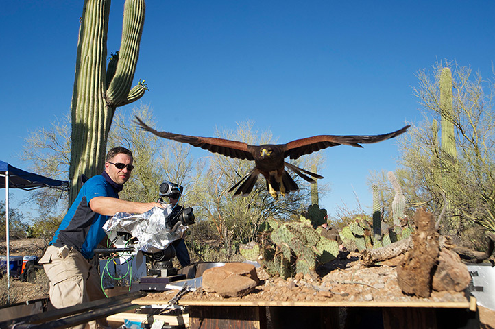 Hidden Kingdoms: Cameraman Mark Payne-Gill uses a high-speed camera to film a mouse eye view