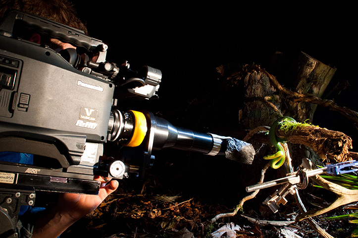 Hidden Kingdoms: Cameraman Jonathan Jones uses a straight-scope lens to film a tree snake