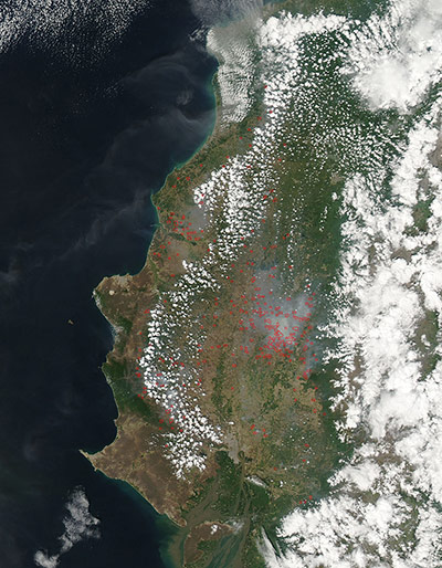 Month in Space: Dozens of red hotspots mark fires burning in western Ecuador