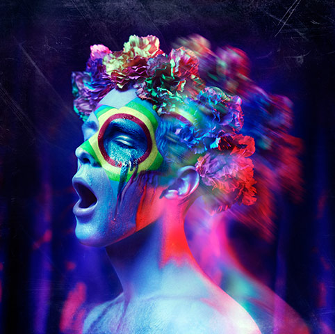 agoodlook1101: CEO – Wonderland