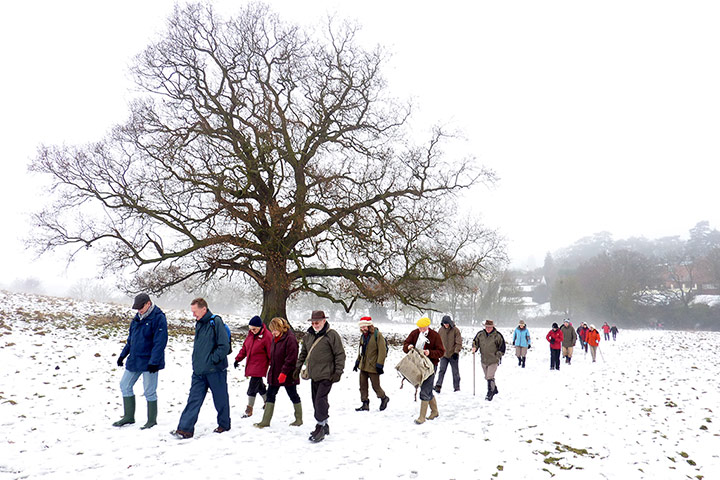 Your Pics - Resolutions: group of people walking in snowy landscape