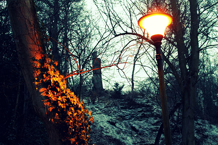 Your Pics - Resolutions: photo of lamp lit landscape in the evening