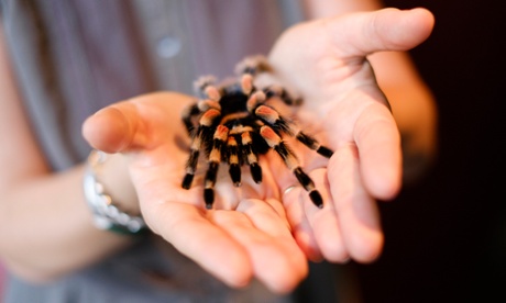 Amy holds Agatha at London zoo.