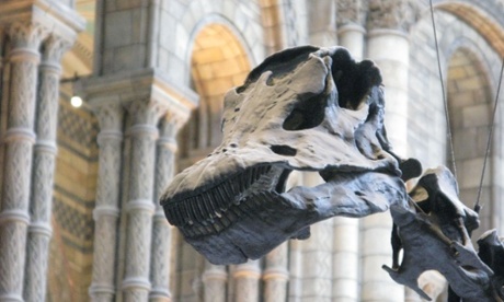 Dippy the Diplodocus