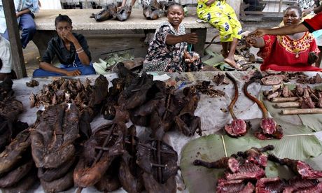 Bushmeat risk of spreading Ebola in Europe