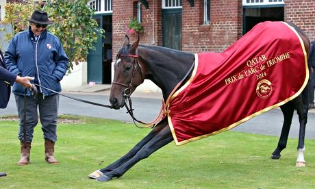 Treve, with her trainer Criquette Head-Maarek, the morning after the 2014 Prix de l'Arc de Triomphe