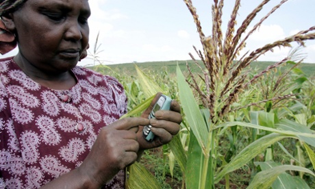 Kenya farmer