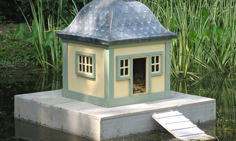 Stockholm duck house