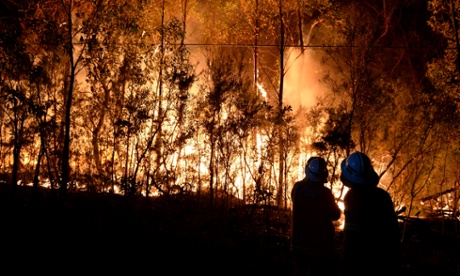 Firefighters battle a bushfire burning close to homes on Patterson Street in Springwood on October 17 last year.