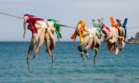 Sun-drying octopi in Crete