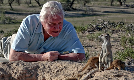 David Attenborough