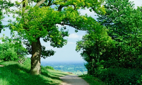 Box Hill in Surrey, in green belt land.