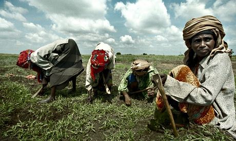 Is there such a thing as 'climate-smart' agriculture?