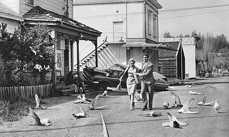 A scene from Alfred Hitchcock's The Birds, 1963.