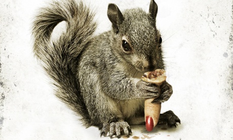 Squirrels film poster.